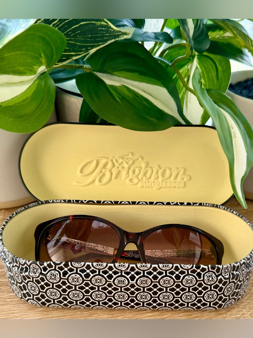 Brighton “Mamma Mia” Women's Brown Sunglasses with Patterned Case